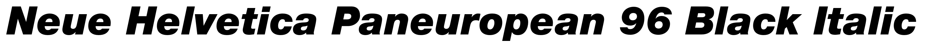 Neue Helvetica Paneuropean 96 Black Italic